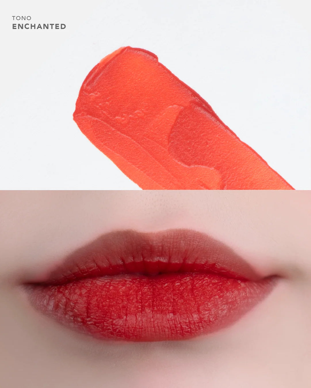 Tinta Labial Soft Focus Blur Tint Ruby Rose Enchanted