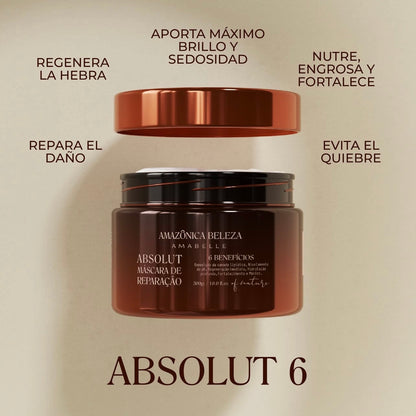 Mascarilla Absolut 6 Reparación Intensa