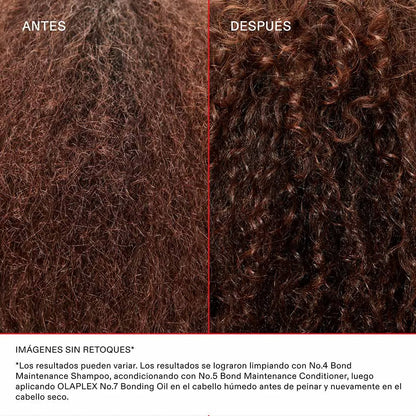 OLAPLEX THE FULL-ON SHINE SET